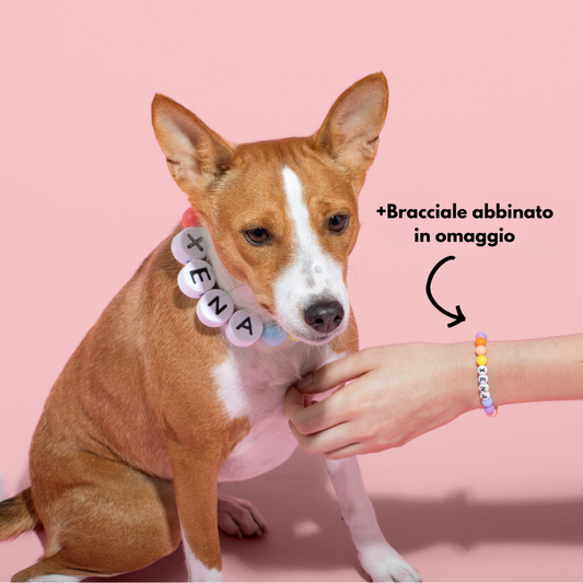 Collare per Cane BFF + Bracciale Abbinato in Omaggio