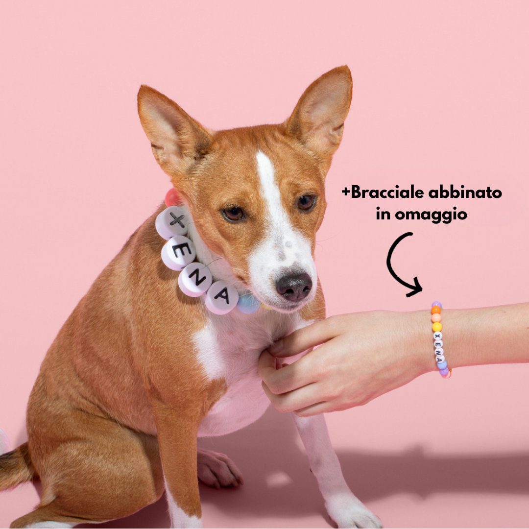 Collare per Cane BFF +Bracciale Abbinato in Omaggio